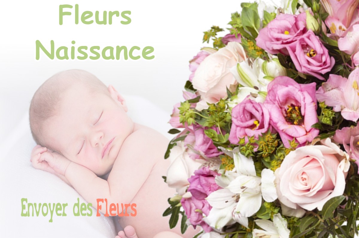 lIVRAISON FLEURS NAISSANCE à FORGES-SUR-MEUSE